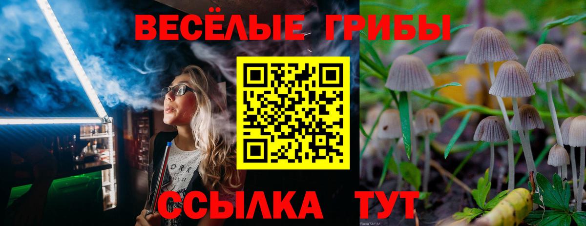 хочу   Псилоцибиновые грибы мухоморы  Псилоцибиновые грибы Magic Shrooms  Вход с VPN  Егорьевск 